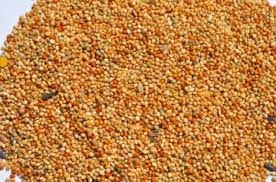 Karma dla papug małych FALISTA NIMFA 5kg EXTRA