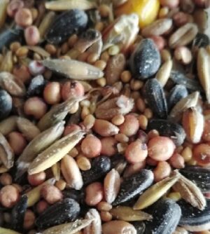 Mieszanka dla ptaków zimujących 20kg