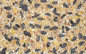 Pasza dla kur niosek Kokoszka Babuni 20kg Kampol