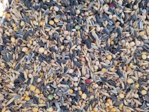 Karma ziarno pokarm ze słonecznikiem dla ptaków zimujących 20kg