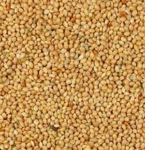 Proso żółte karma dla ptaków papug HIT 25kg