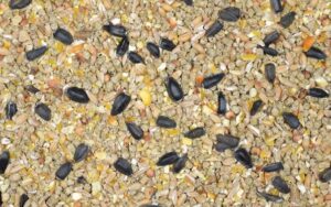 Pasza dla kur Nioska Jesienno-Zimowa 20kg Kampol