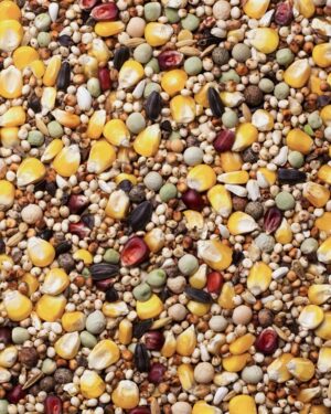 King mieszanka dla gołębi BP bez pszenicy worek 25 kg