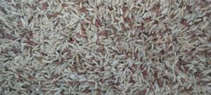 Ryż mieszany dla zwierząt, karma dla psa 100% ryż 10kg