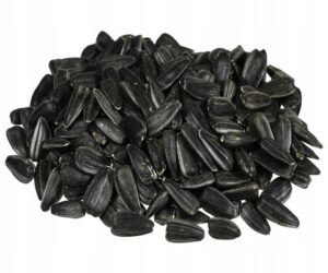 Słonecznik czarny 20kg Karma dla ptaków i papug ziarno pokarm naturalny