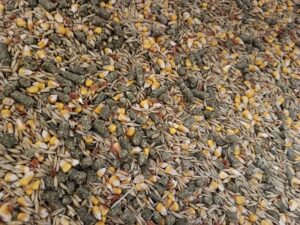 Karma naturalna dla królików pasza 10kg